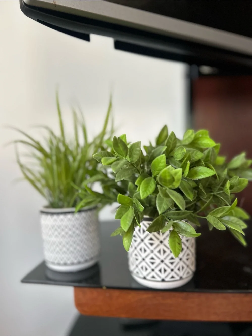 Black and White Patterned Ceramic faux plants  - Set of 2
